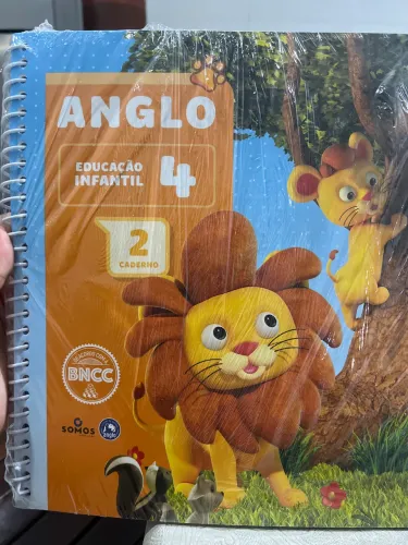 Livro Anglo caderno 2- Colégio Cem