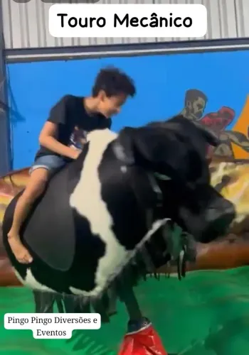 Touro Mecânico, Futebol de sabão, Tobogã Grande, Algodão Doce,.. *