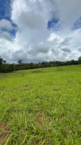SÍTIO À VENDA MONTE APRAZÍVEL/SP | APTIDÃO CANA E GADO | 16 ALQUEIRES