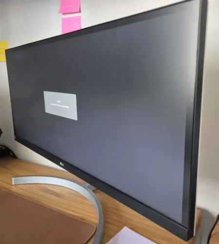 Monitor LG UltraWide LG 29'' 29WK600-W