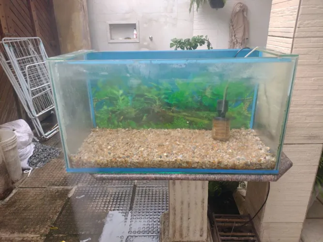 Vendo aguario medindo 80x40x30 com a bomba 