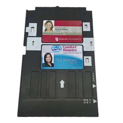 Epson - Bandeja Impressão De Cartão Pvc - Epson T50 L800 R290 270 280