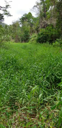 Área de 10 hectares a venda próximo a Poções 