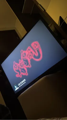 Televisão SONY Bravia 32?