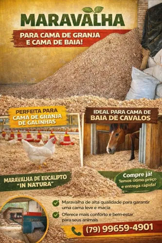 Maravalha de eucalipto 