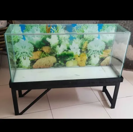 Aquário espaçoso 110 cm - conservado