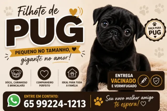 CACHORRO PUG