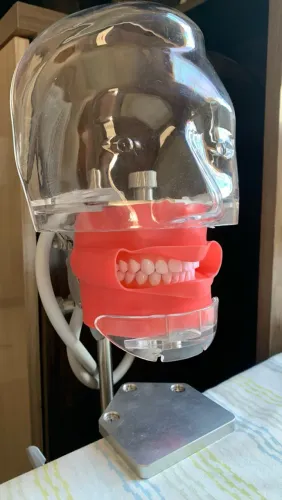 Simulador de Paciente Odontológico BOB - Manequim Odontológico