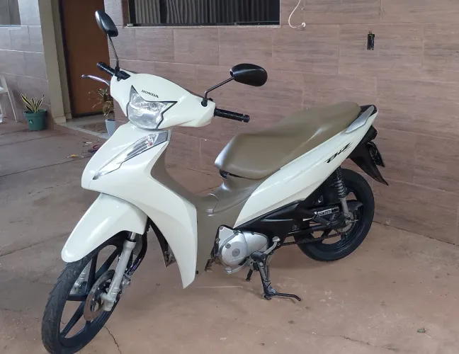 Biz único dono branco perola