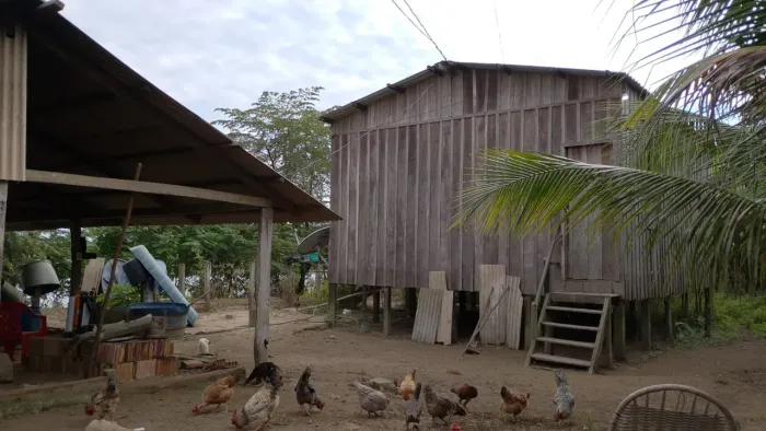 Chácara próximo a boca do Jamari, casa com tres cômodos, um casarão pra trabalho na sombra
