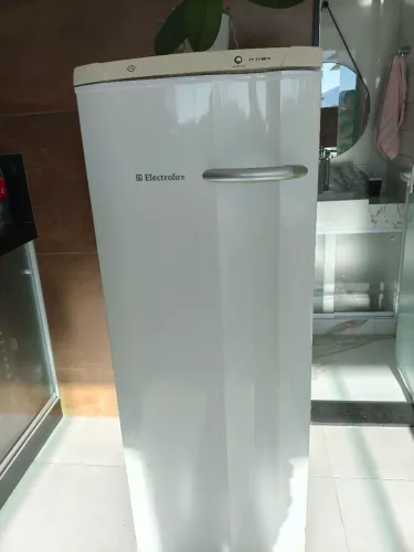 Freezer vertical
