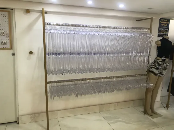 Arara roupa dourada 