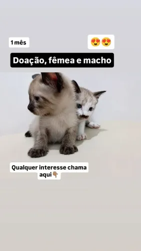 Doação 