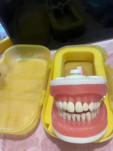 Manequim de Dentística 