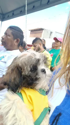 Vendo lindo Shih tzu