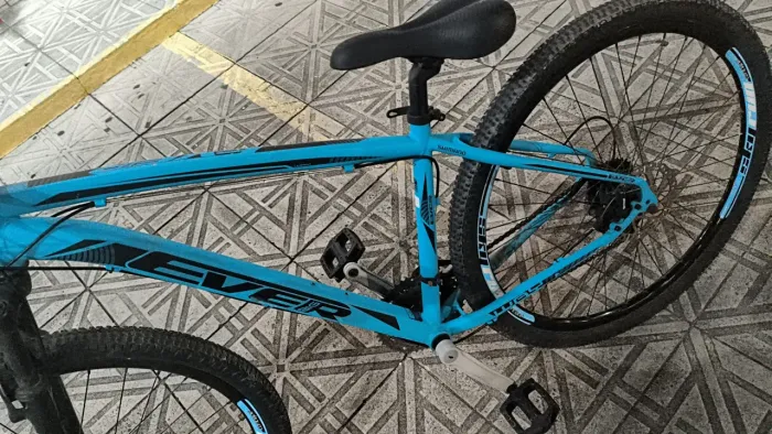 BICICLETA EVER ARO29