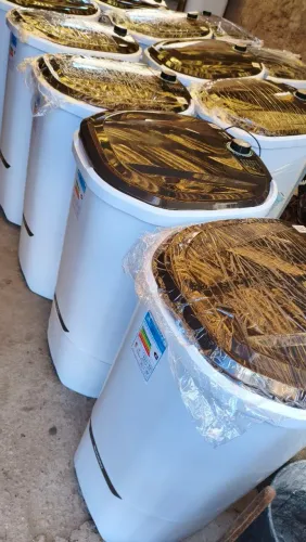 Lote de tanquinho e ventiladores 