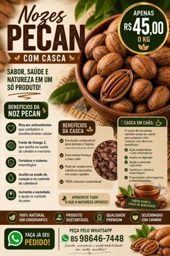 Nozes Pecan com Casca Selecionadas Premium