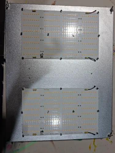 Led quantum board LM301H. 240w