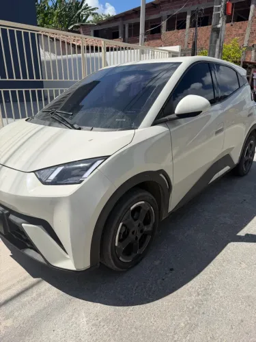 BYD Dolphin Mini (Elétrico) 2024