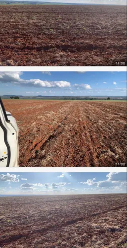 Fazenda no Goiás lavoura 