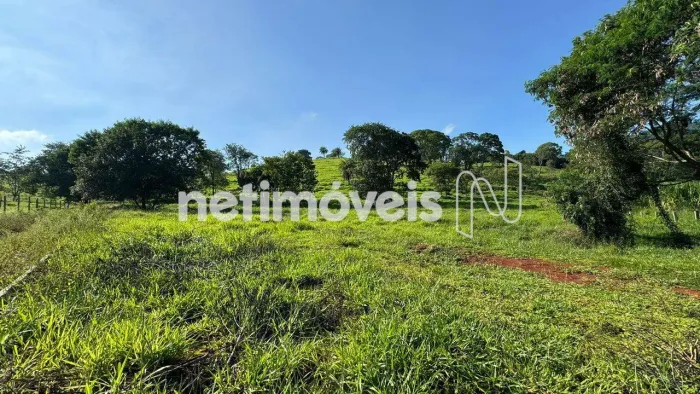 Venda Chácara Zona Rural Florestal