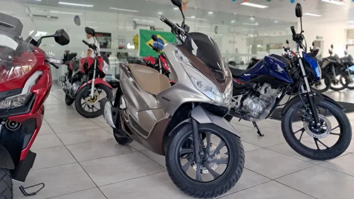 PCX DLX 150 ABS (2022/2022)