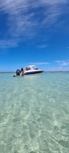 Fibrasmar Vision 32 2013 | Yamaha F300 2023 | 267h | Impecável
