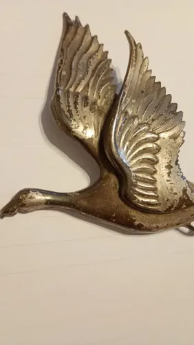 Antigo broche vintage