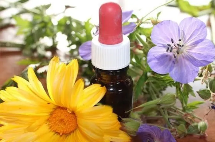 Terapia com Florais de Bach