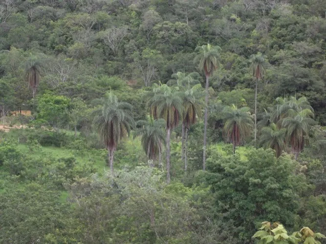 Lote rural de 36.000m ²,belíssima vista, nascente de água, Serra do Cipo.