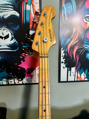 Baixo Gianninni Stratosonic AE08B 70s - O Icone . 