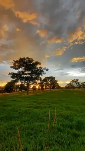 Imóvel para venda tem 500 metros quadrados em Recreio - Ibiúna - SP ...