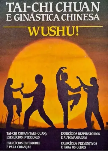 Livro Tai-Chi Chuan e Ginástica Chinesa - Wushu