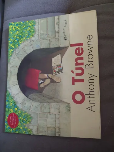 O túnel livro