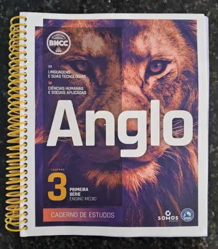 Livros Anglo - Caderno de estudos 3 - Kit Linguagens e Matemática