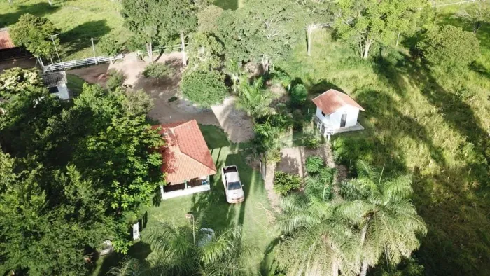 Sítio 31 hectares valor 2.500.000 município riachinho mg