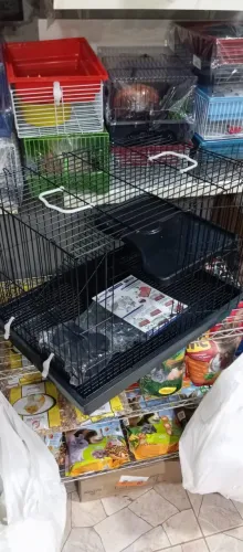 Gaiola para Porquinho-da-índia , a pronta entrega