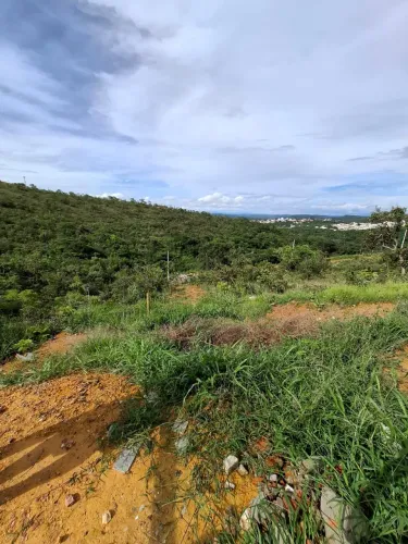 Lote em Lagoa Santa - Parque das Orquídeas - 440m2