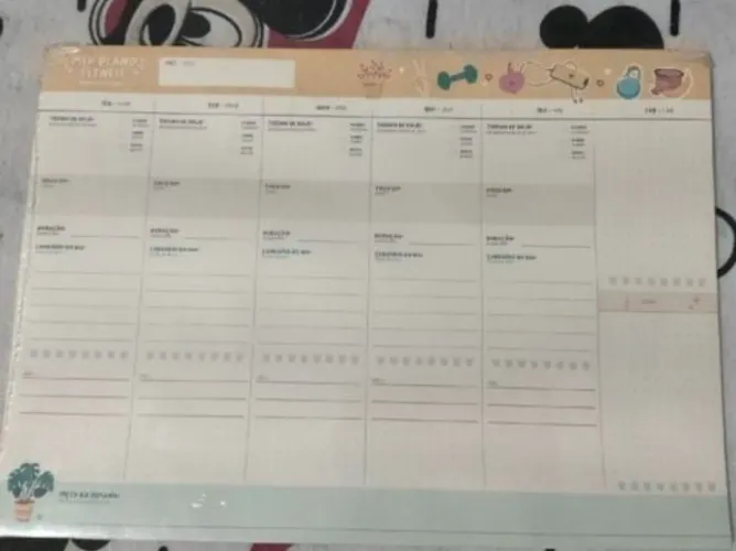 caderno de organização agenda jandaia papelaria