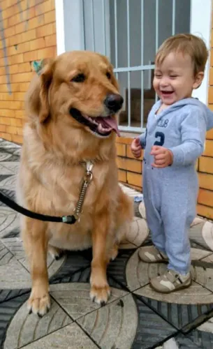 Babá aos finais de semana