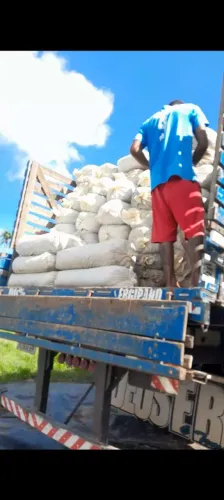SILAGEM CAPIM ELEFANTE BRS CAPIAÇU ALTA TEOR DE PROTEINA