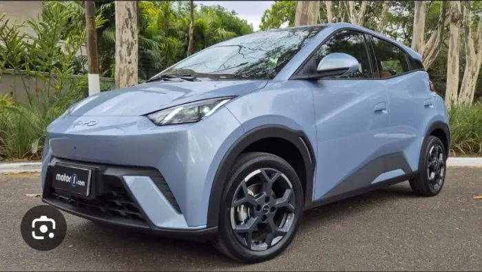 alugo byd mini dolphin