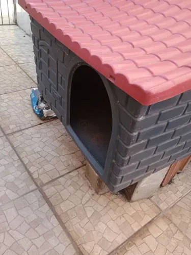 Casa de cachorro 