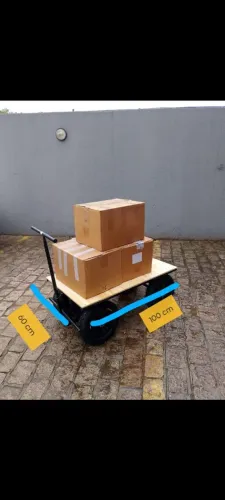 Carrinho de carga plataforma até 300 kg de carga
