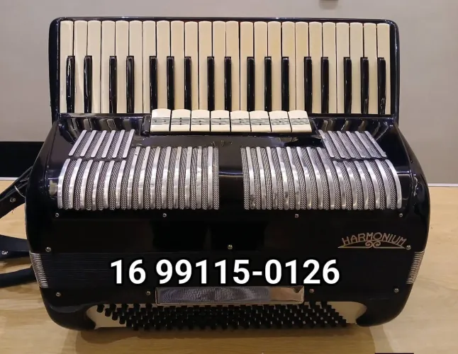 Acordeon Sanfona Harmonium *
