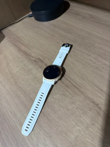 Garmin fenix 6s pro ( defeito )