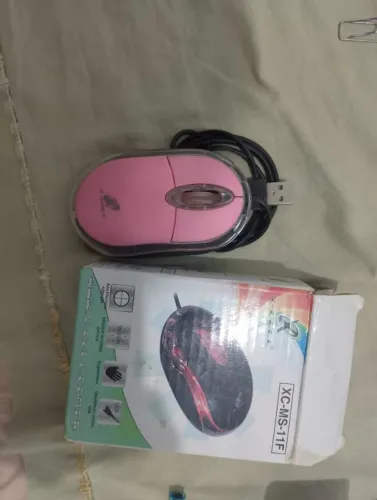 Mouse