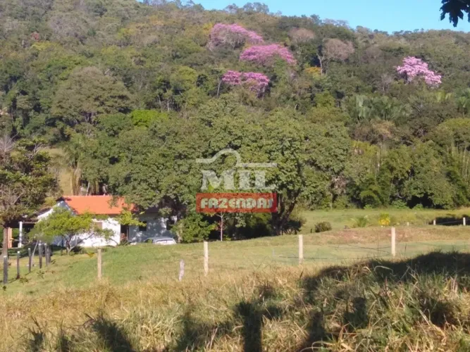 Chácara em Pirenopolis-GO 15 Alqueires. Boa de Água