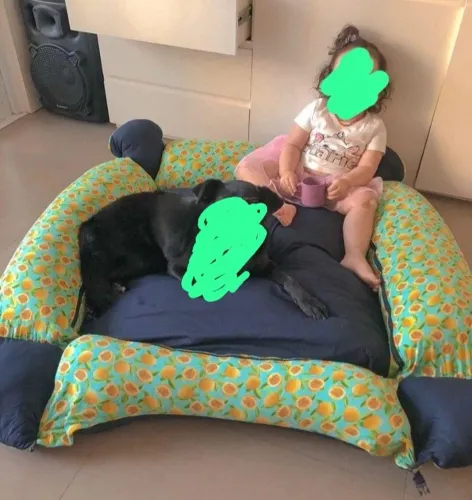 Cama Pet